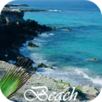 beach android application logo